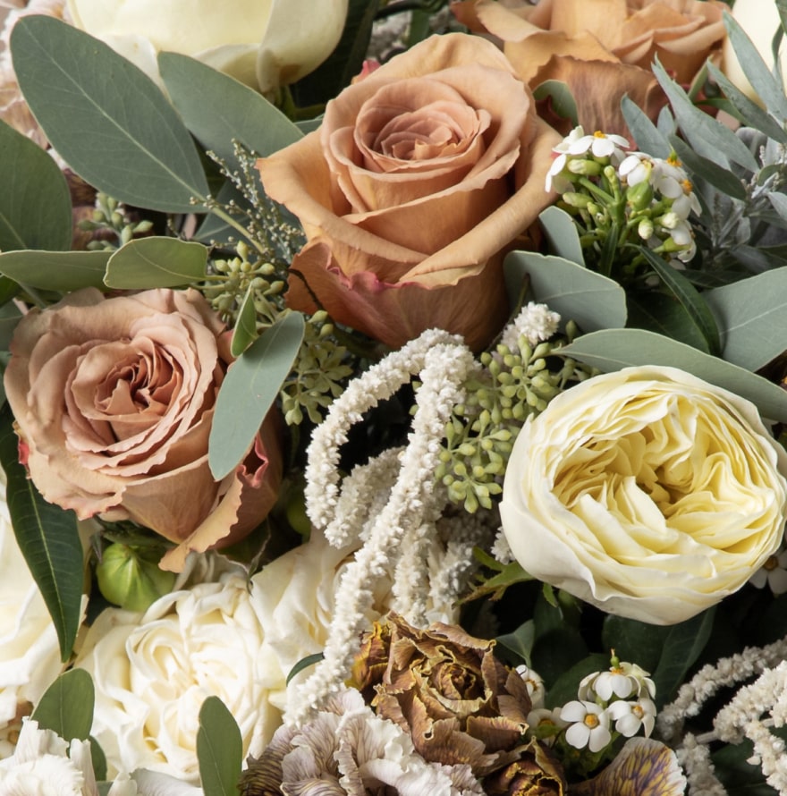 Holland Wholesale Flowers