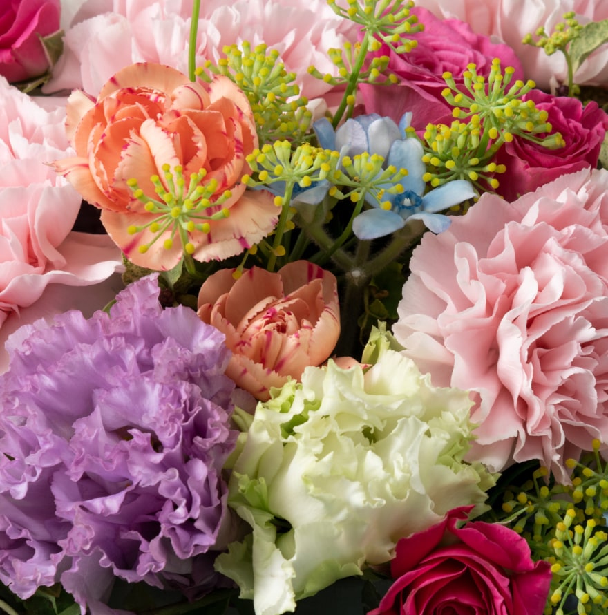 Holland Wholesale Flowers